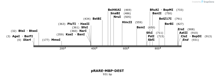 165273_map