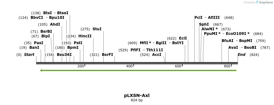 165285_map