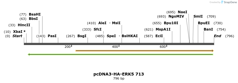 165302_map