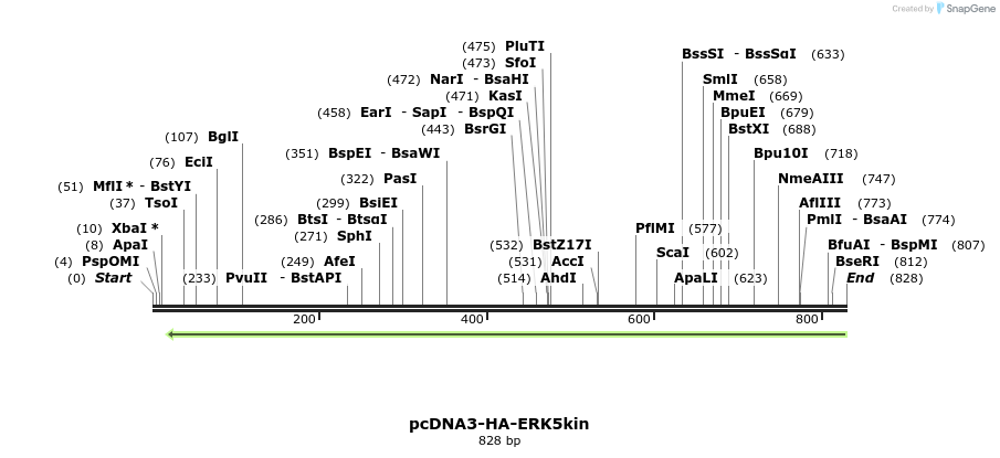 165318_map