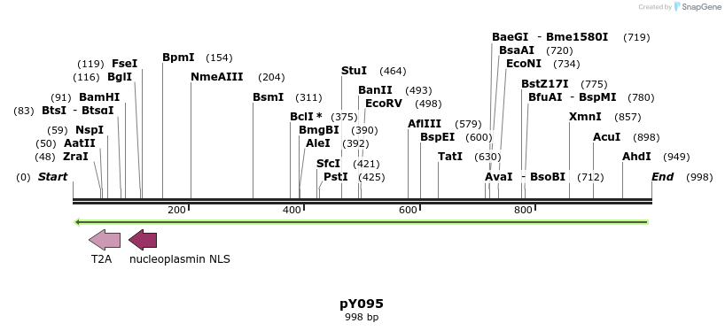 165325_map