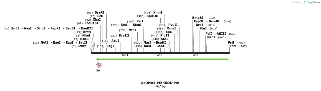 165340_map