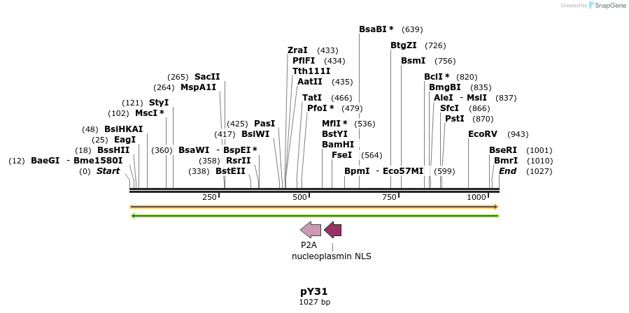 165348_map