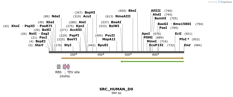 165377_map