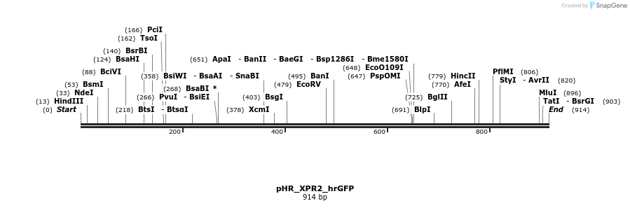 165396_map