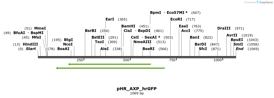 165398_map