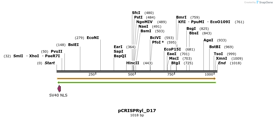 165405_map