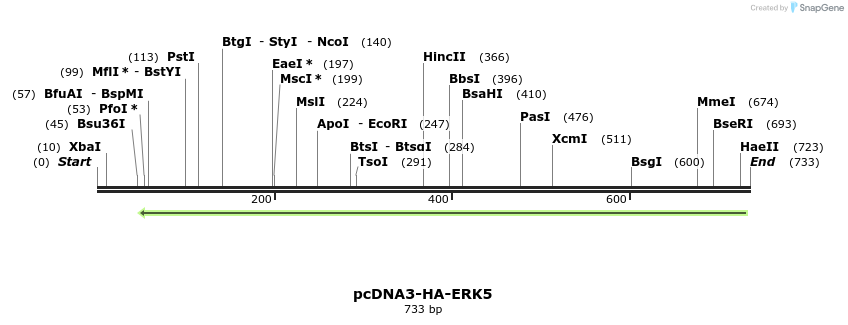 165420_map