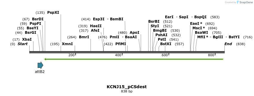 165443_map