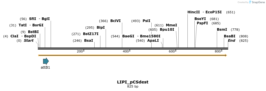 165448_map
