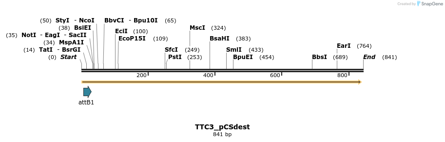 165451_map