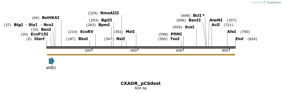 165455_map