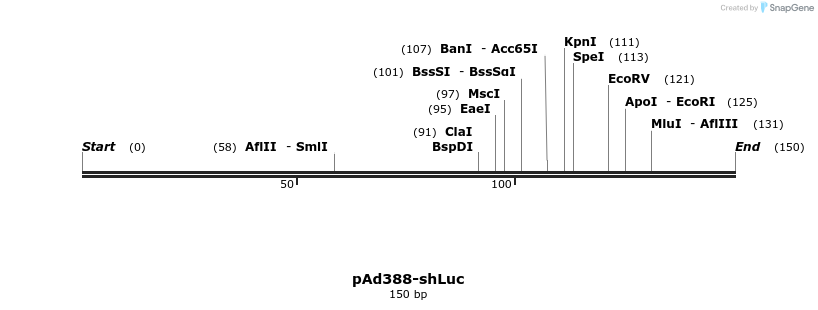 165471_map