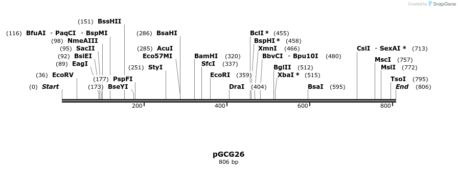 165490_map