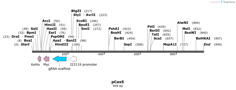 165494_map