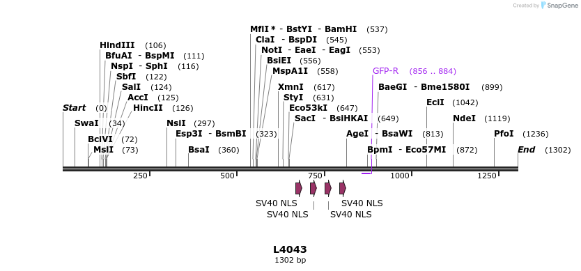 16551_map