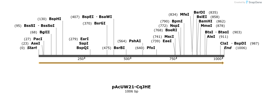 165527_map
