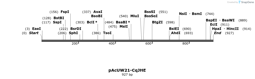 165531_map