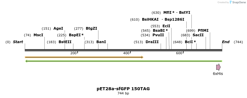 165546_map