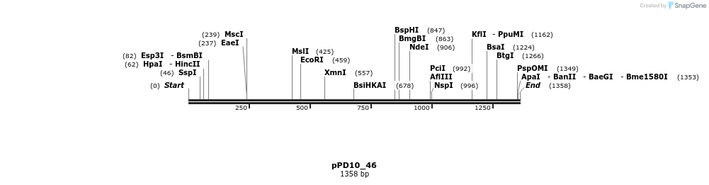 16555_map