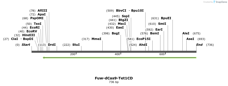 165551_map