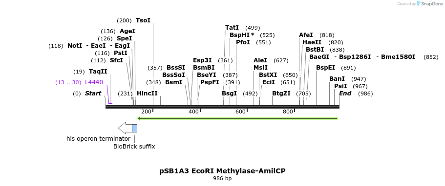 165558_map