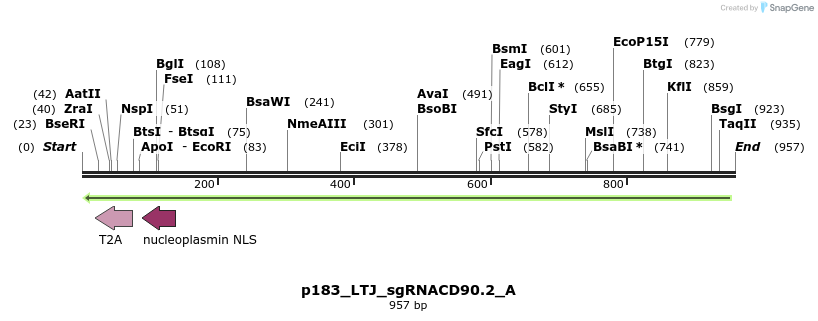165587_map