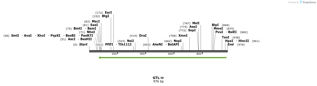 165589_map