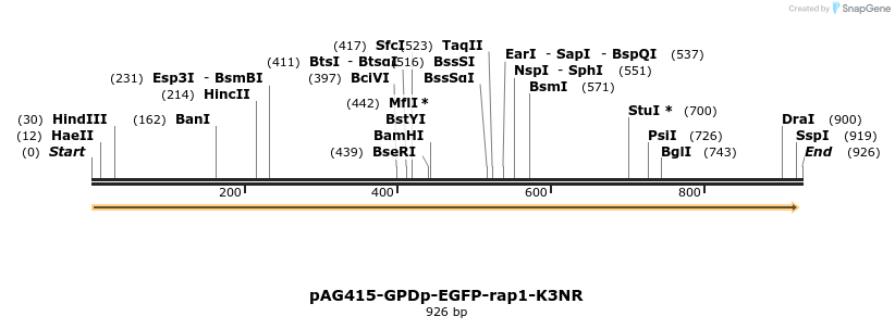 165592_map