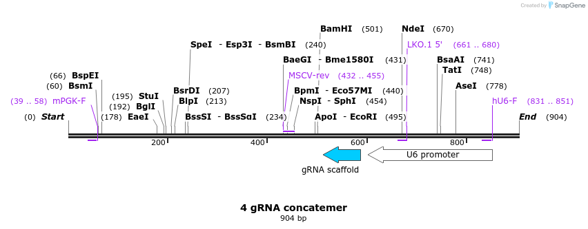 165594_map