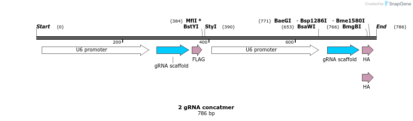 165595_map
