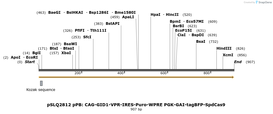 165598_map
