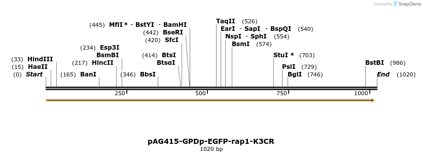 165601_map