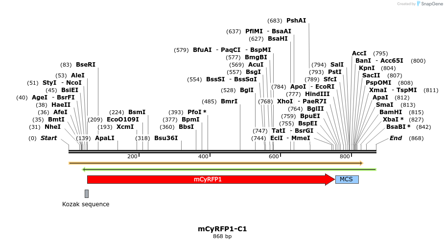165604_map