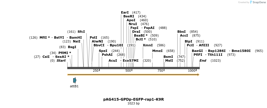 165607_map