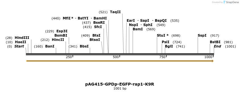 165608_map