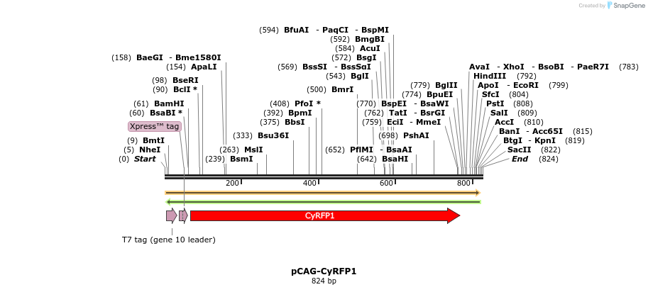 165609_map