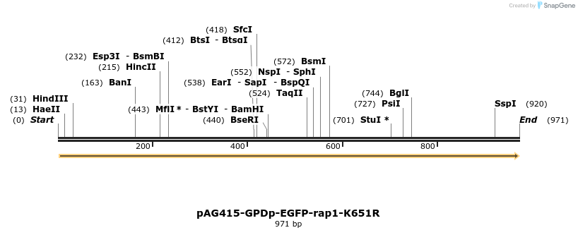 165621_map