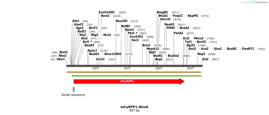 165622_map