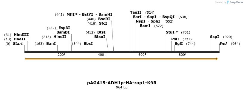 165637_map
