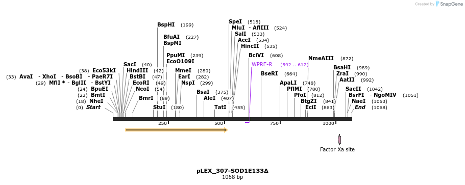 165675_map