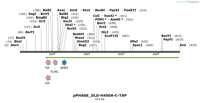 165681_map