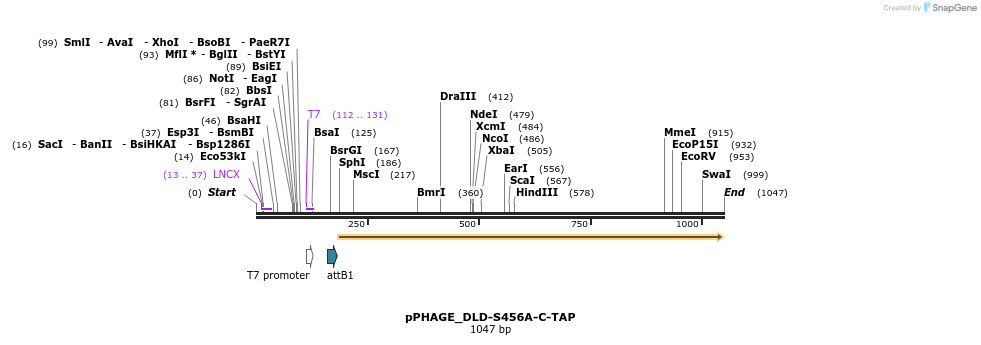 165682_map