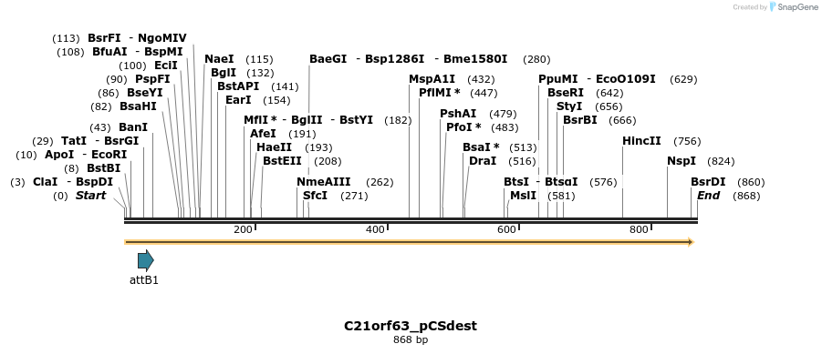 165697_map