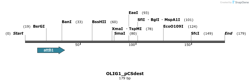 165701_map