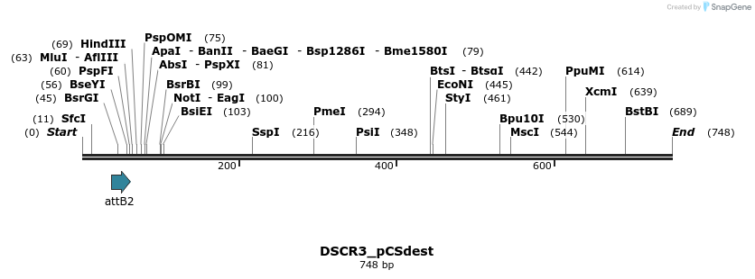 165706_map