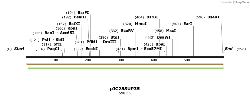 16571_map