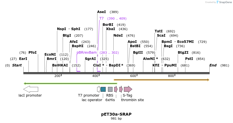 165726_map