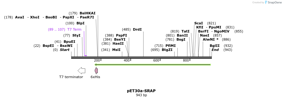165727_map