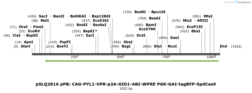 165748_map